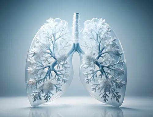 Breathing Easy This Winter: Why You Should Consult a Pulmonologist in the Cold Season